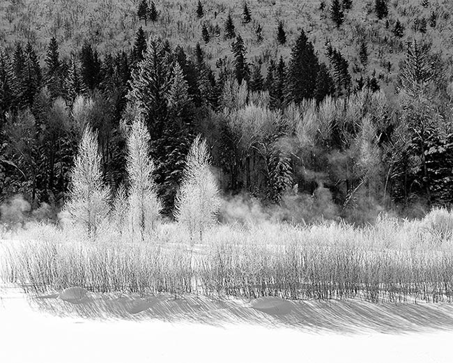 [© Frosty Morn B&W by Judy Hill is described with Black and White, Neutrals, Black, Gray, White, River Valley, Water, Woods, Horizontal, Winter, Stock, Colorado, Woody Creek, White River National Forest, Roaring Fork Valley, Rocky Mountain, Rockys, Cold, ice, icy, Rivers, Snowy, Stone, Streams, Alpine, Ski Area, Cottonwoods, Aspens, Evergreen, Forest, Tree, Trees, Pine, Fine Art hit 9209 rate ]