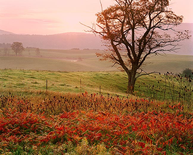 [© Daybreak by Judy Hill is described with Color, Warm, River Valley, Horizontal, Fall, Stock, Gold, Green, Magenta, Maroon, Orange, Peach, Pink, Purple, Reds, Air, Brush, Bush, Cloudy, Leaf, Leaves, Foliage, Pasture, Pond, Sun, Tree, Sumac, Farms, Farm, New England, Vermont, 1986, Sunrise, Sunset, Fine Art, retro hit 17503 rate ]