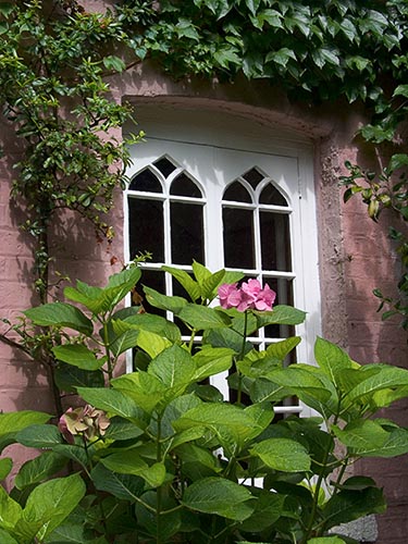 [© Cheyne Cottage by Judy Hill is described with Green, Maroon, Neutrals, Pink, White, Buildings, Flowers, Foliage, Old Buildings, Old things, Evergreen, Ivy, Window, England, London, Spring, Summer, Vertical, Cottage, Stock, Color, Town, City, Blue, Reds hit 5696 rate ]