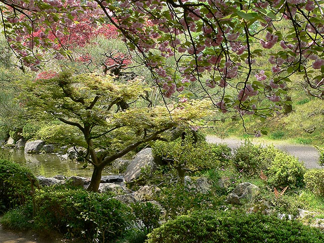 [© Rites of spring by Amory B. Lovins is described with Fine Art, Stock, International, Horizontal, Shrine, Brown, Cold, Green, Reds, Warm, White, Pink, Bush, Foliage, Lake, Leaf, Leaves, Pond, Rivers, Water, Cherry, Cherry Blossoms, Flowers, Rhododendron, Japan, Kyoto, Tree, Trees, Spring, Summer, 2005, City, Color hit 24435 rate ]