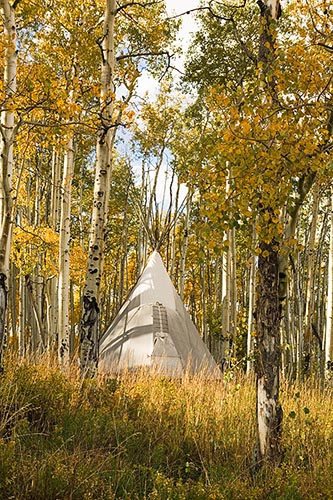 [© Rose Teepee by Judy Hill is described with Capitol Peak, Colorado, Daly, Elk Range, Mt. Daly, Rockys, White River National Forest, Mountain, Mountains, 2005, Autumn, Fall, Rocky Mountains, Green, golden, Beige, Gray, Neutrals, Warm, Yellows, Rocky, Tree, Trees, Woods, Teepee, Aspens, Leaf, Leaves, things, Vertical, Fine Art, Stock, Color hit 18245 rate ]