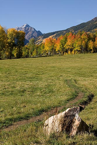 [© Study In Two Rocks by Judy Hill is described with Color, Warm, Farm, Mountain, Woods, Vertical, Fall, Fine Art, Stock, Blue, Gold, Green, Orange, Yellows, Maroon Bells-Snowmass Wilderness, Aspen, Colorado, Rockys, Rocky Mountain, Pyramid, Pyramid Peak, Foliage, Grass, Mt., Pasture, Path, Tree, Alpine, Mountains, Ranches, 2005, Cottonwoods, Aspens, golden hit 18896 rate ]