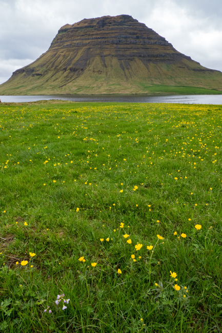 [© Kirkjufell by Amory B. Lovins is described with Iceland, Fine Art, Mt. Kirkjufell, Color, Cool, Spring, Summer, Mountain, Green, Brown, Yellow, Slideshow, Snæfellsnes Peninsula, Water, Vertical hit 18573 rate ]