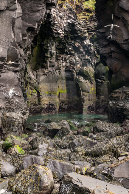 [© Hellnar Arches by Amory B. Lovins is described with Iceland, Color, Spring, Slideshow, Hellnar, Fine Art, Vertical, Rock, Rock face, Brown, Cool, Gray, Green hit 18395 rate ]