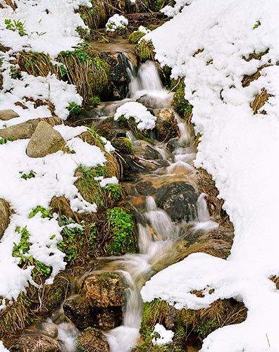 [© Irrepressable Spring by Stuart Huck is described with Water, Vertical, Winter, Spring, Stock, Fine Art, Color, Beige, Brown, Cold, Cool, Green, Neutrals, White, Gray, Gold, Independence Pass, Rocky Mountain, Rocky Mountains, Rockys, White River National Forest, Woods hit 22635 rate ]
