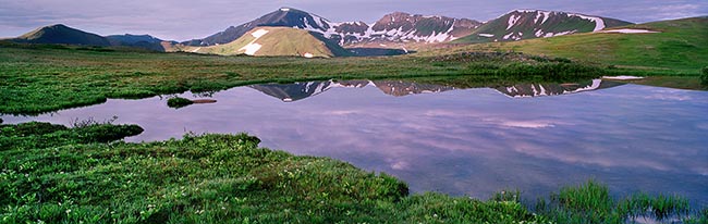 [© Independence Pass Morning by Judy Hill is described with Fine Art, Color, Cool, Mountain, Lake, Water, Horizontal, Panorama, Spring, Summer, Stock, Magenta, Maroon, Green, White, Brown, Purple, Independence Pass, Rocky Mountain, Rockys, White River National Forest, Elk Range, Colorado, Air, Reflections, Flowers, Alpine, Mountains, retro hit 30280 rate ]
