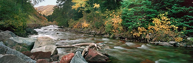 [© Castle Creek Rock and River by Judy Hill is described with Blue, Brown, Cool, golden, Green, Neutrals, Gray, Yellows, Ashcroft, Castle Creek, Colorado, Elk Range, Mountain, Rocky, Rockys, White River National Forest, Air, Alpine, Evergreen, Forest, Leaf, Leaves, Rivers, Rocks, sky, Stone, Tree, Trees, 2005, Summer, Spring, Horizontal, Panorama, Rocky Mountains, Fine Art, River Valley, Stock, Brush, Woods, Water, retro hit 30128 rate ]